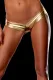 Golden Wet Look Leather Panty