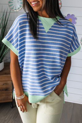 Sky Blue Stripe Contrast Trim Loose Short Sleeve Top LC25136607-P419
