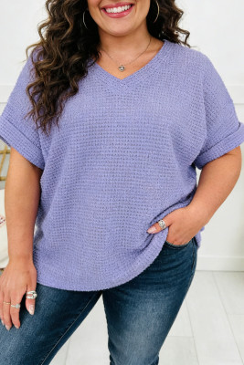 Wisteria V Neck Short Sleeve Plus Size Waffle Knit Top PL25135367-P208