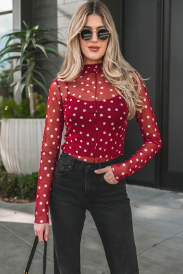 Red Polka Dot Patterned Bodycon Mock Neck Mesh Long Sleeve Top LC25135311-P10320